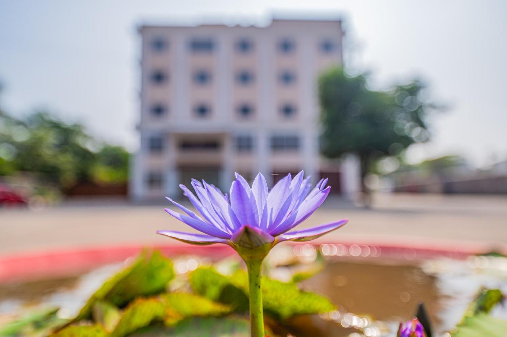 Lotus Leaf Hotel Pali  Ngoại thất bức ảnh